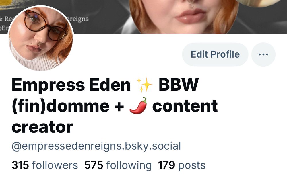 A screenshot of the top of my profile showing I have 315 followers