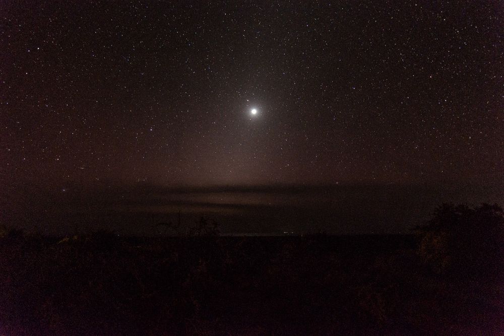 A dark landscape with sky full of stars and a very bright Venus in the centre.