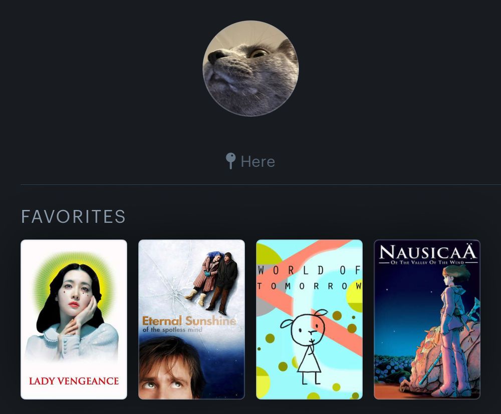 Photo of top 4 on Letterboxd