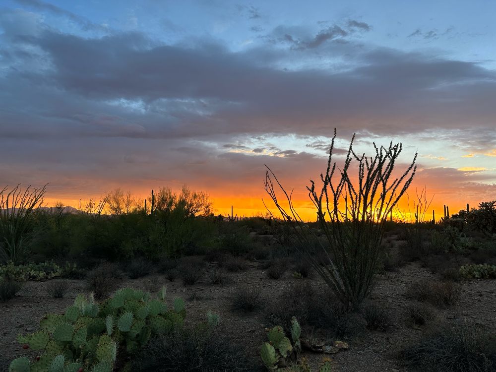 Tucson sunset 