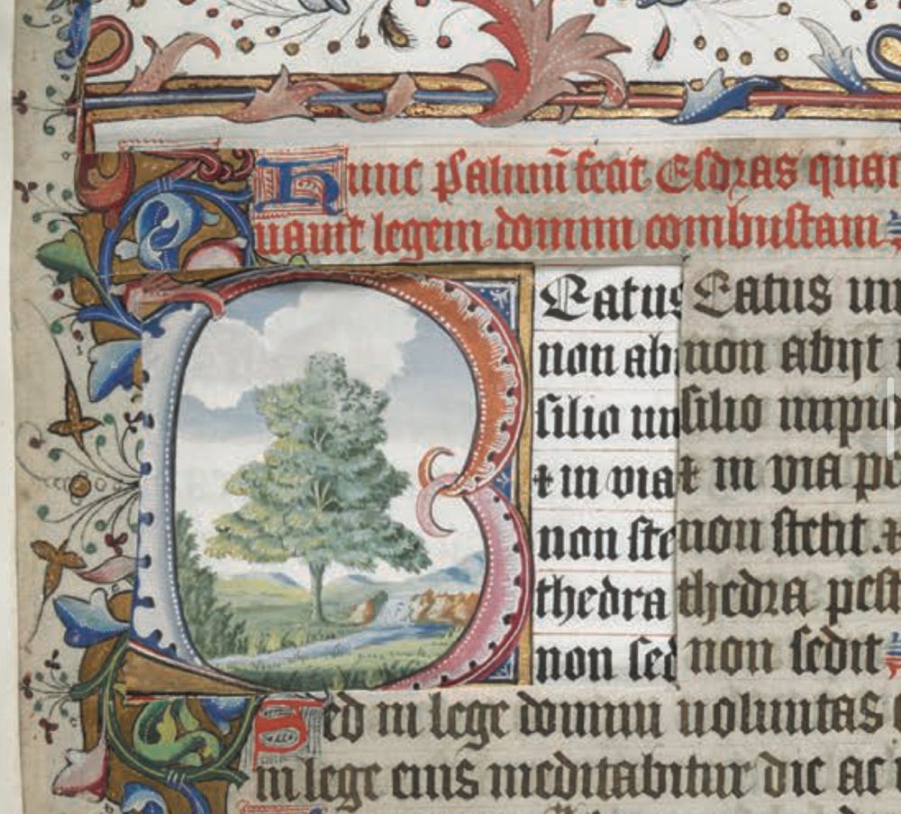 Part of a page of a medieval manuscript that had a hole cut into it. Underneath it is a restoration of a large decorated B, which would have been in this place, and which was restored by Eliza. The letter emulates the medieval style of script, but the image inside it is in a late 18th century style, showing a verdant tree standing against a green bucolic landscape.