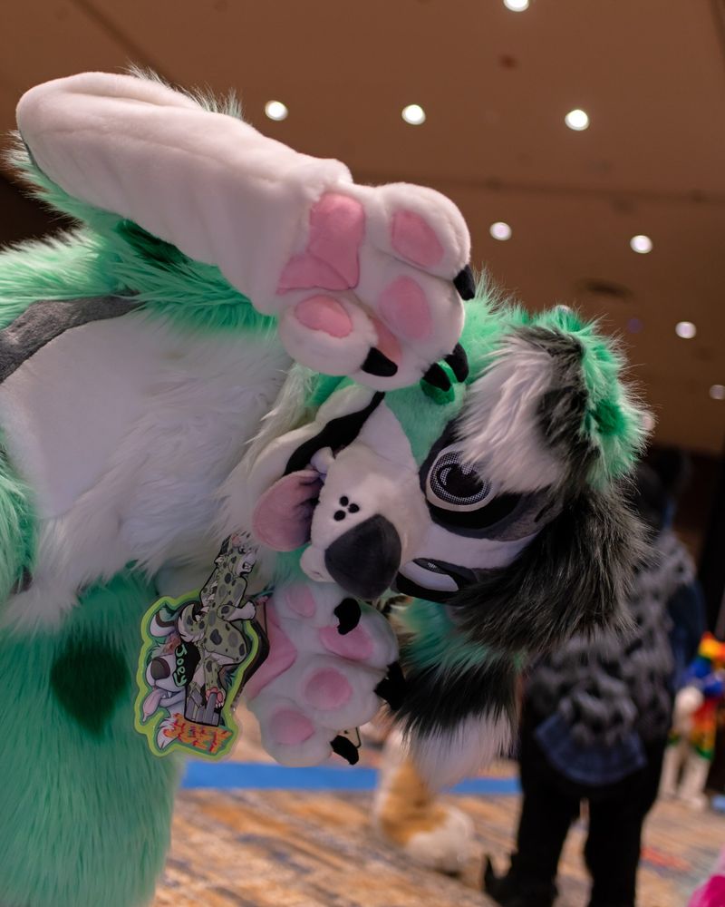 A mint green Australian shepherd fursuiter being a dumb dog at BLFC 2022