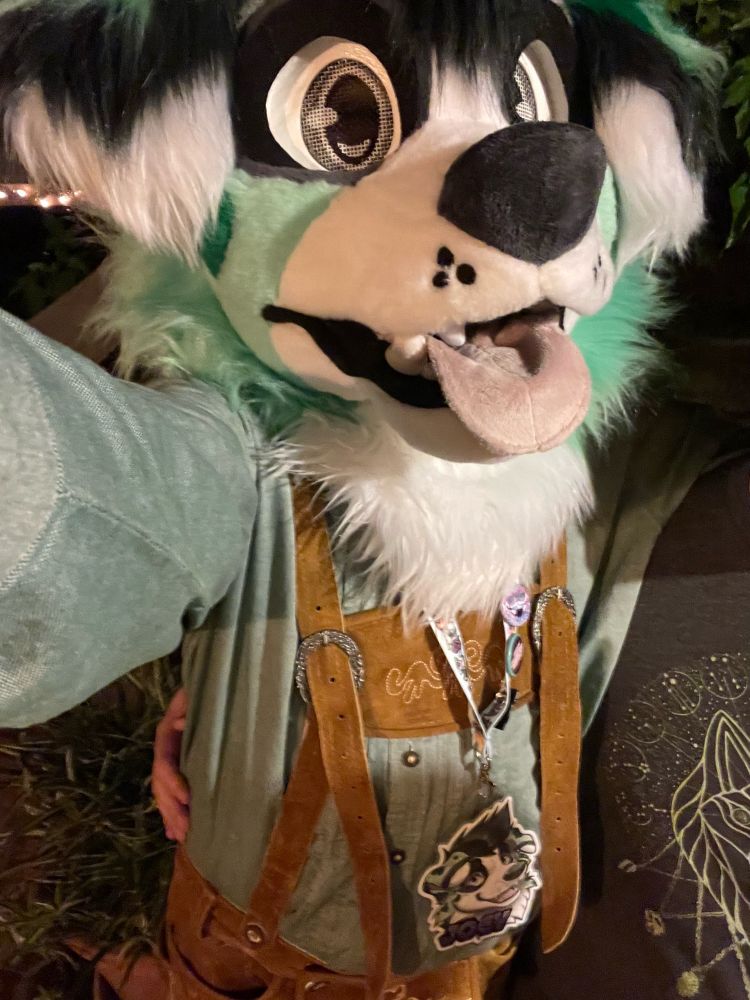 Silly little mint Aussie sheppie in a lederhosen