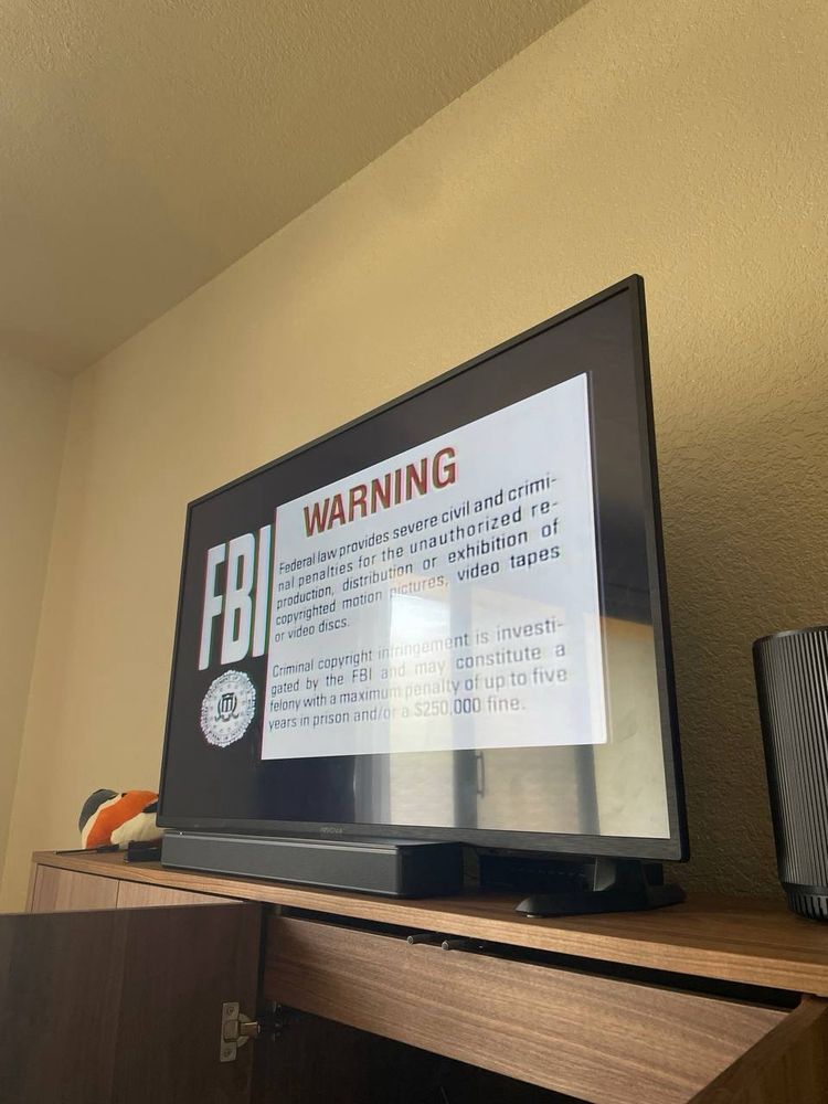 My TV featuring the FBI warning to not steal cause stealing is bad intro of a movie I watched on Laserdisc.