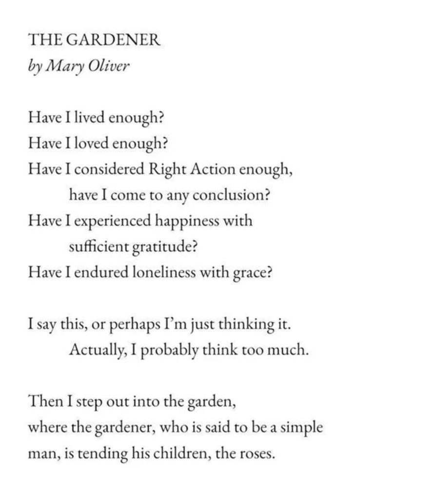 The Gardener

Have I lived enough?
Have I loved enough?
Have I considered Right Action enough, have I come to any conclusions?
Have I experienced happiness with sufficient gratitude?
Have I endured loneliness with grace?

I say this, or perhaps I’m just thinking it.
Actually, I probably think too much.

Then I step out into the garden,
where the gardener, who is said to be a simple man,
is tending his children, the roses.

Mary Oliver, A Thousand Mornings, p. 7
© 2012 by NW Orchard, LLC
First published by Penguin Press 2012