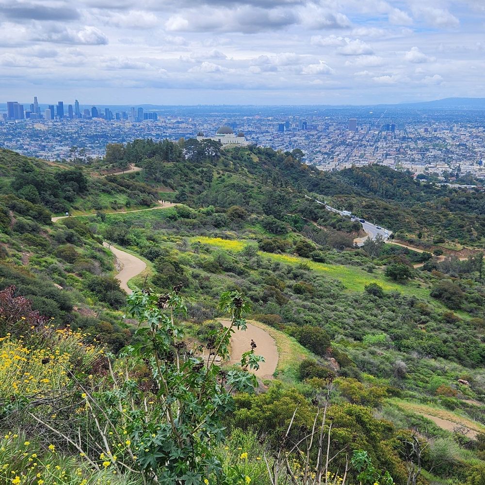 Griffith Park Observatory from the Dantes View hike with downtown LA in the background. 