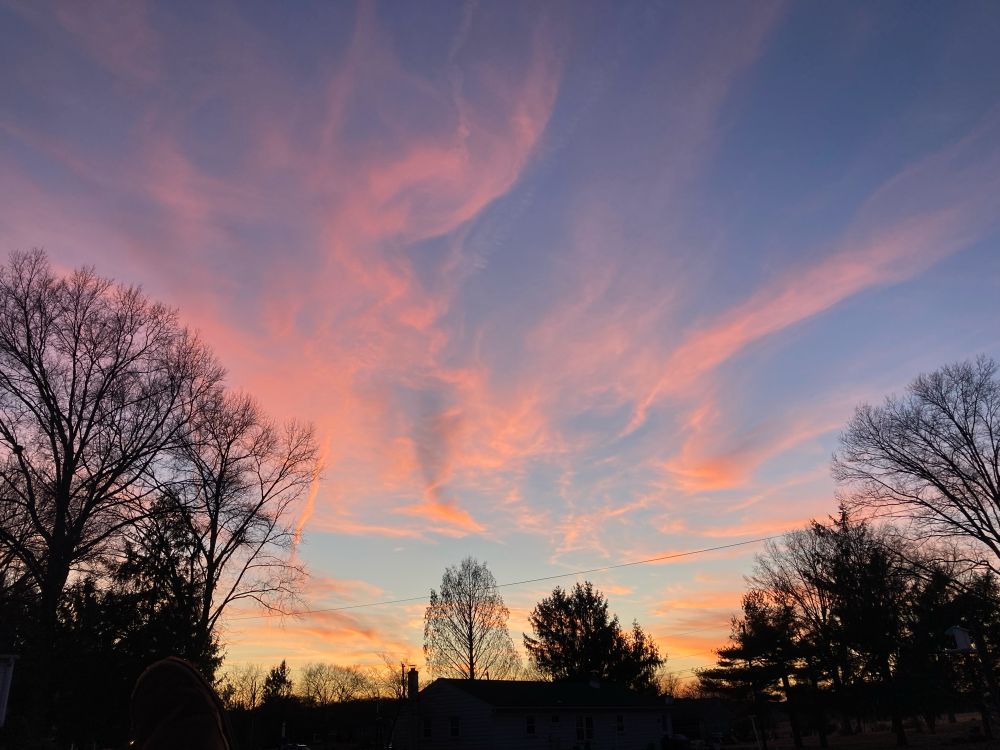 As I look at these pink cirrus cloud twisting against a blue sky, with the silhouettes of various trees, from bare oaks to full coniferous trees of some sort, I realize that maybe the destruction of the dept of Ed will bring the destruction of all college sports - a pipe dream I know. Probably better that people can run around, but what do I know I stopped going to the gym when I got the Physical Education Credit in the second half of ninth grade.