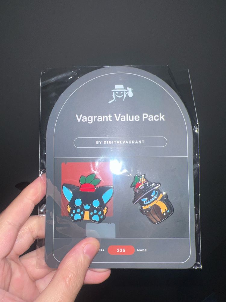 A pin pack of DigitalVagrant of his usual likeness and as a kitten