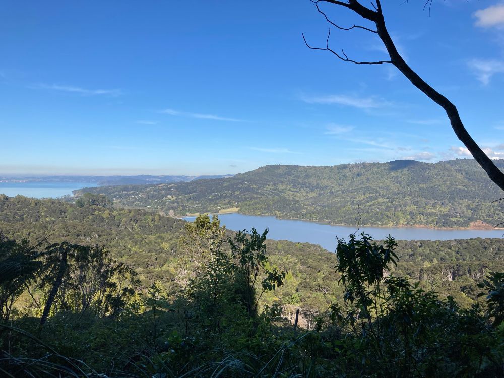 Native bush of Aotearoa in foreground; stretch of water (reservoir) in middleground right; see further off at left. Green hills in background; blue sky with a few streaky clouds. 