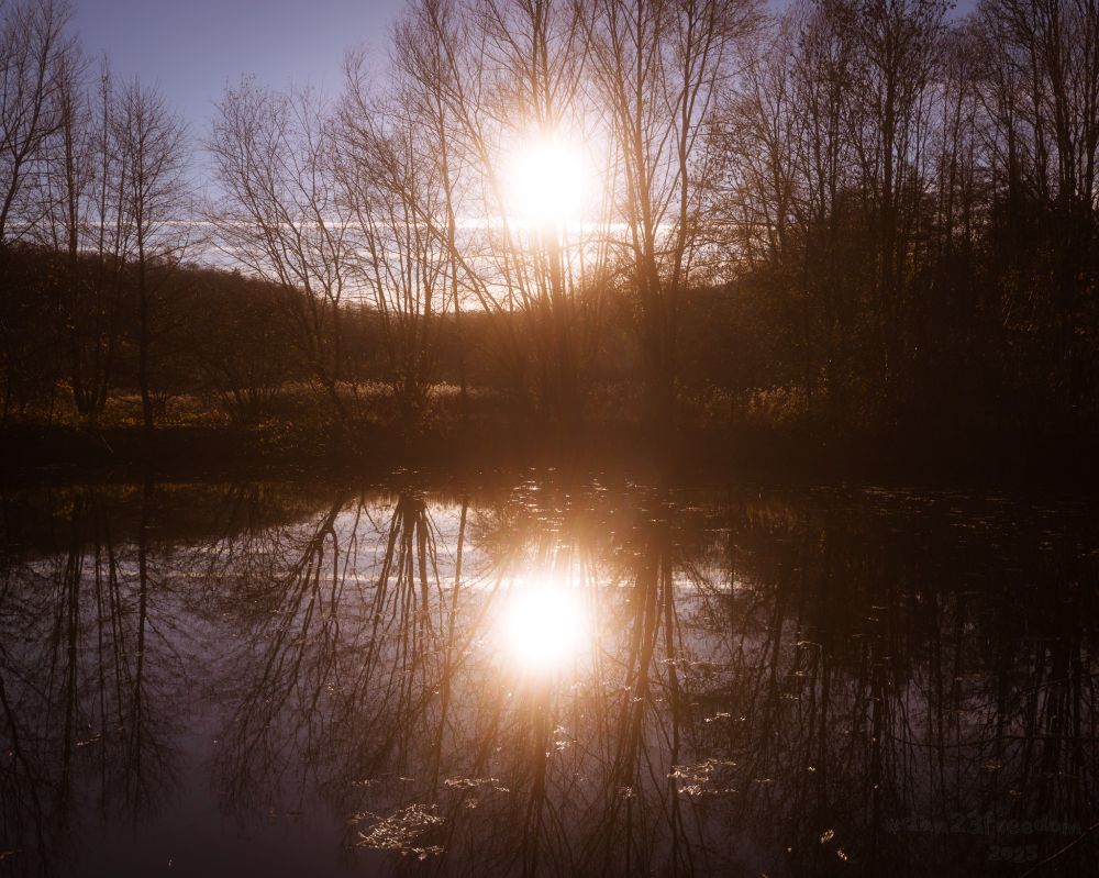 A calm lake reflects the setting sun and bare trees, creating a symmetrical and peaceful autumn scene.
—
Sun dips, glassy lake, / Branches smile in soft embrace, / Day frames its own face.