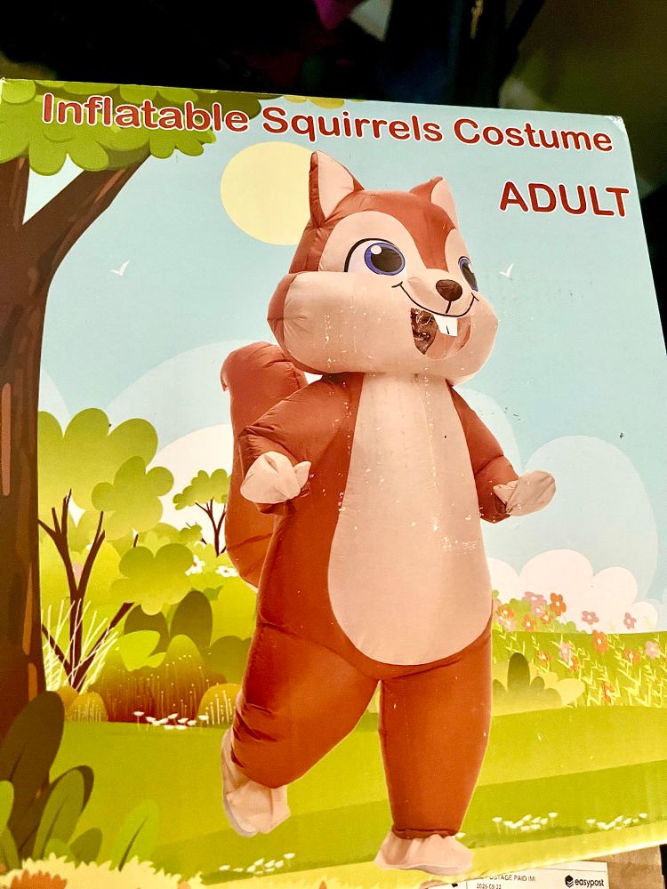 Picture of the inflatable squirrel costume I ordered. OMG. #sqrlpix