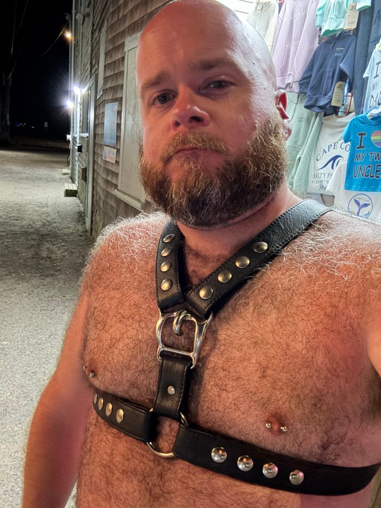 A quick selfie I took on my way down Commercial Street in Ptown after a party at one of the bars. I’m wearing a black leather English-style leather harness (the English harness has a strap that goes around the chest underneath the pecs, with a short strap and buckle in the center that connects it to two straps that go over the shoulders, connecting the same way to the chest strap in the back). My skin is tanned/slightly red from the sun, and my entire stomach, chest, and both shoulders are covered with fur. I’m holding my phone with my left arm, which is raised to take the photo, revealing the thick patch of hair in my pit. 