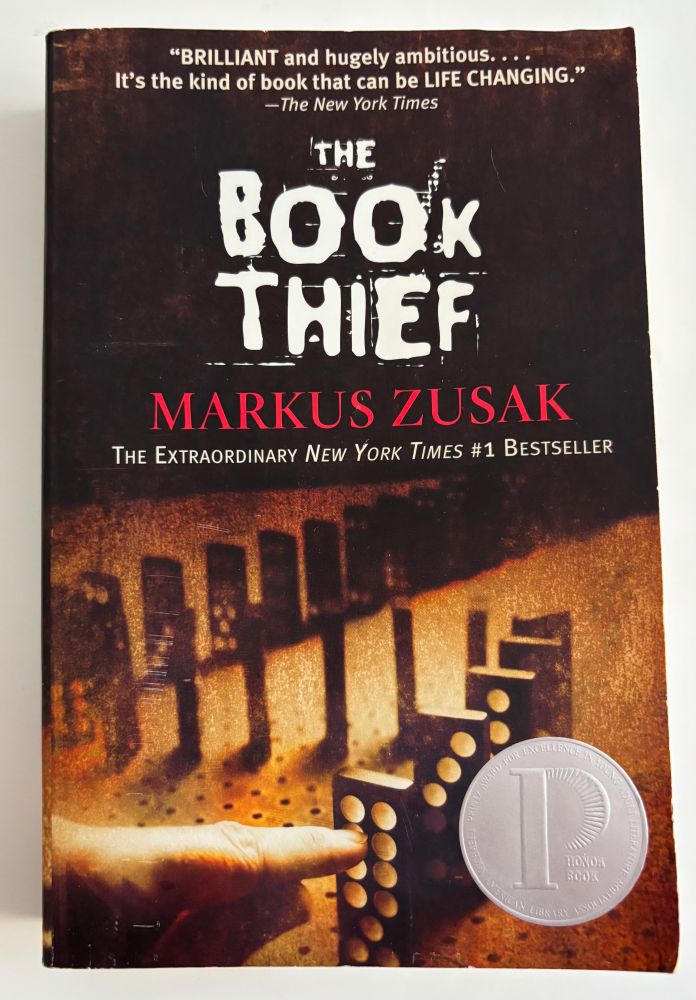A paperback book cover with title in white against a dark background, and the author's name in red. The cover photo is in sepia tones and shows an index finger about to knock over the first in a series of standing dominoes.
