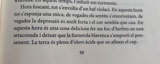 Wildly sensorial fragment on an afternoon’s light, smell, feelings.