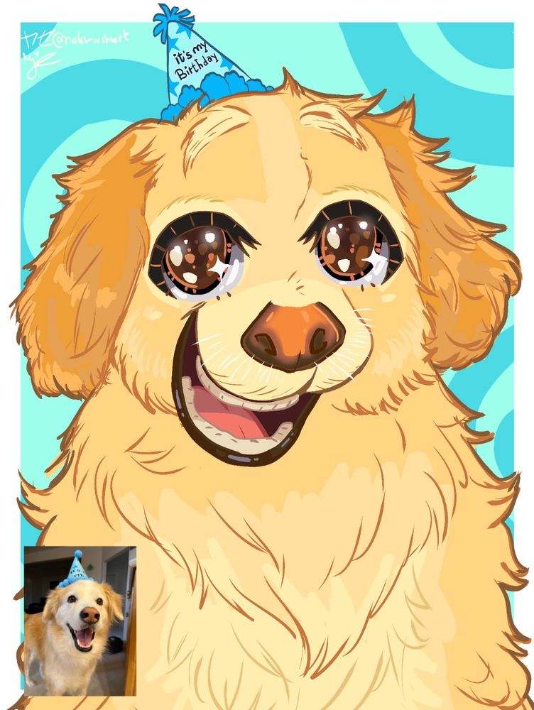 A drawing in my art style of the client’s labrador smiling looking just like in the reference picture. In the reference picture in the corner is an actual photo, the dog is smiling with his mouth open wearing a birthday hat. His fur is golden with beige high lights and darker golden ears. The birthday hat says “it’s my birthday” on it and is baby blue with darker baby blue accent decorations around it and an equally colored tip. 