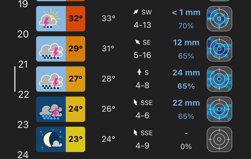 Screenshot einer Wetterapp. In den Stunden ab 20 Ihr sind jeweils 12, 24 und 22mm Niederschlag gemeldet