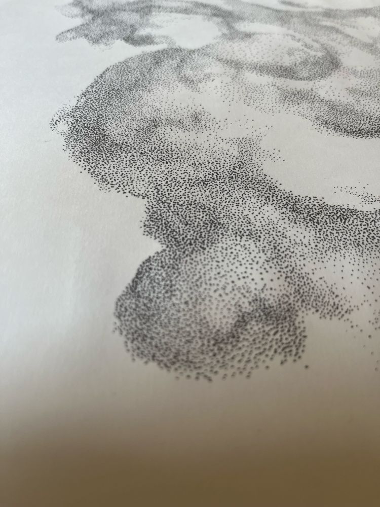 Detailansichten auf dem man näher betrachtet viele kleine Punkte sieht 