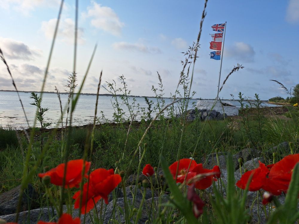 Image shows Langstone harbour at high tide under a mainly clear sky. A memorial with flags representing the armed services is in the background and poppies line the foreground 
