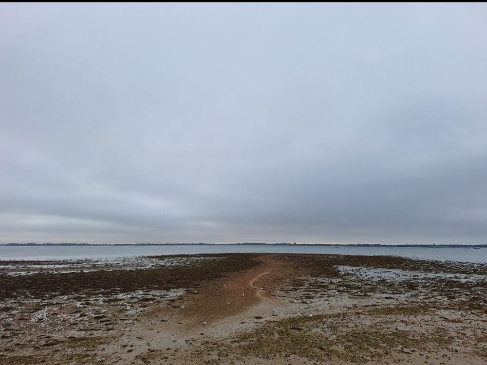 Image shows Langstone harbour at mid tide under a cloudy sky 
