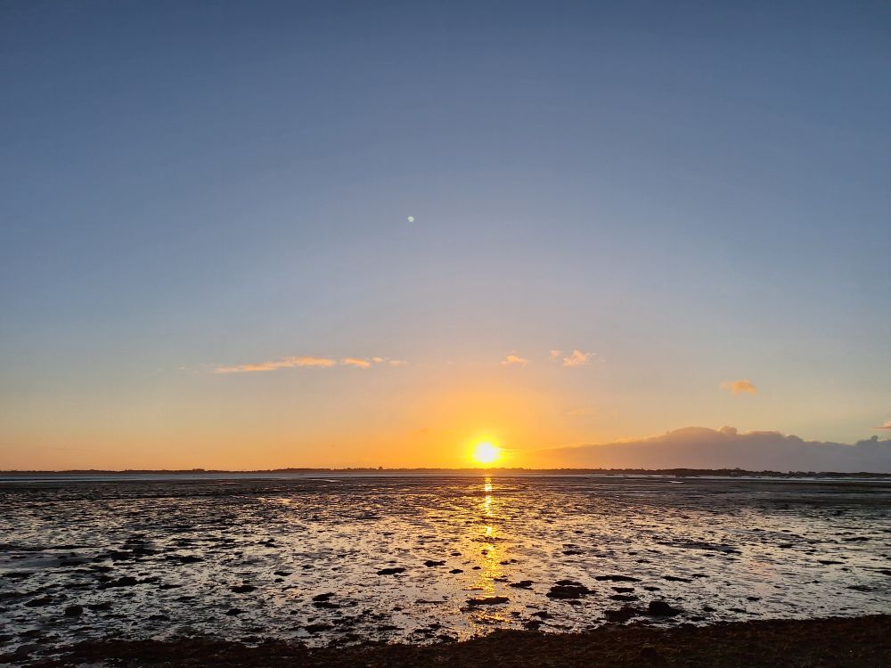 Image shows Langstone harbour at low tide. The sky is clear and the sun is rising on the horizon 