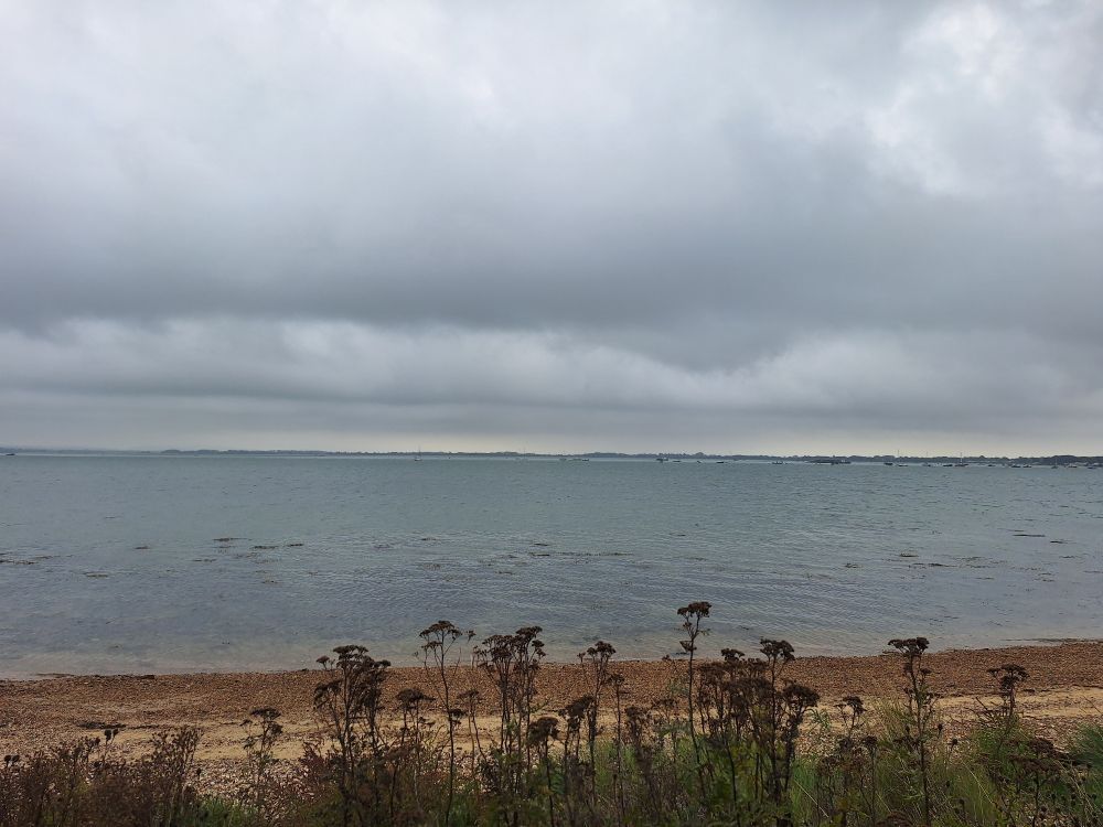 Image shows Langstone harbour at high tide under a cloudy sky. Wildflower seed heads line the foreground 