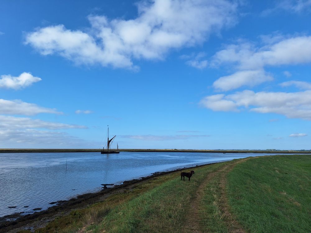 Image shows Orford coastline with a traditional sailing ship in the sea