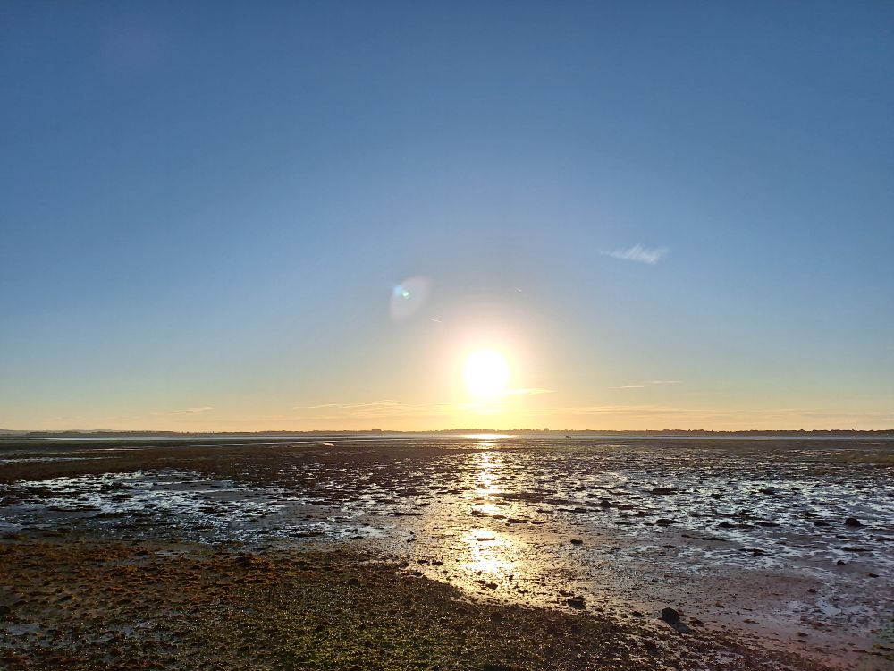 Image shows Langstone harbour at low tide under a clear, sunny sky 