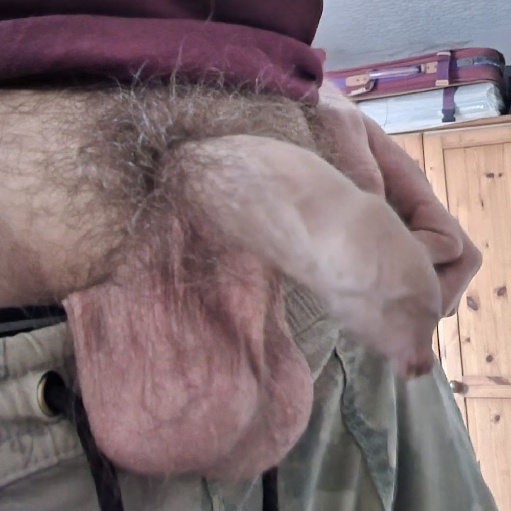 My dick and balls.