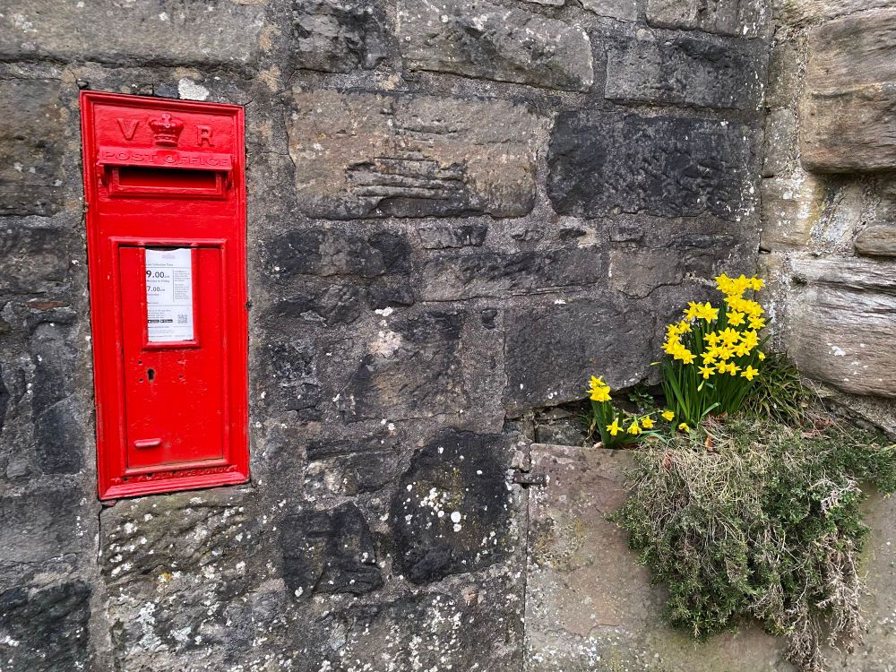 An old grey stone wall. To the left, a bright red Victorian letter-box cast into the wall itself. To the right, growing out of a corner of the wall, a clump of yellow daffodils and green leaves.