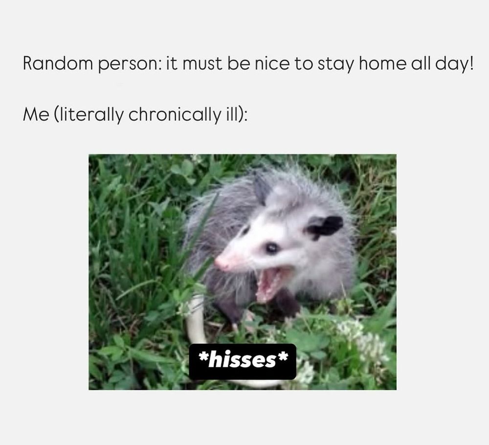 Random person: it must be nice to stay home all day!

Me (literally chronically ill):

[picture of an opossum, teeth bared] *hisses*