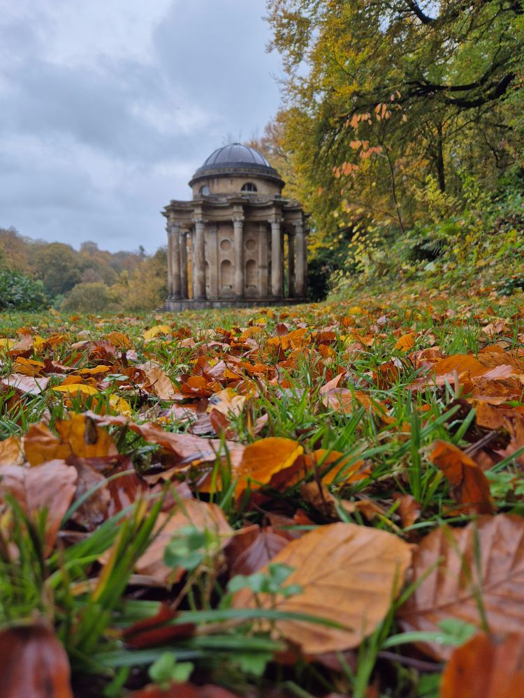 Autumn leave on the ground with a mock-temple in the background.