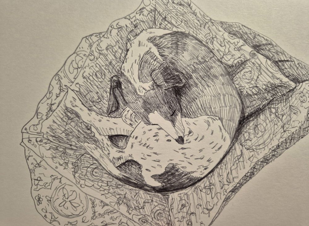 A monochrome drawing of a small dog curled up on a patterned dog bed viewed from above.
