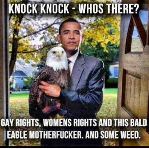 Comment image