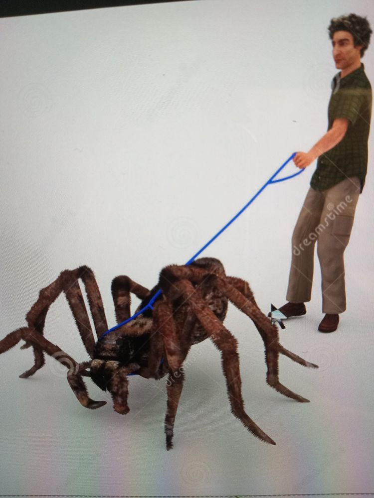 An interesting looking dog that has many legs, brown and black fur, large mandables, and a blue leash 