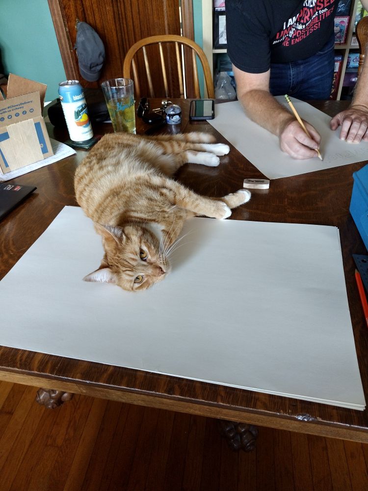 Cute orange cat lies on the poster board