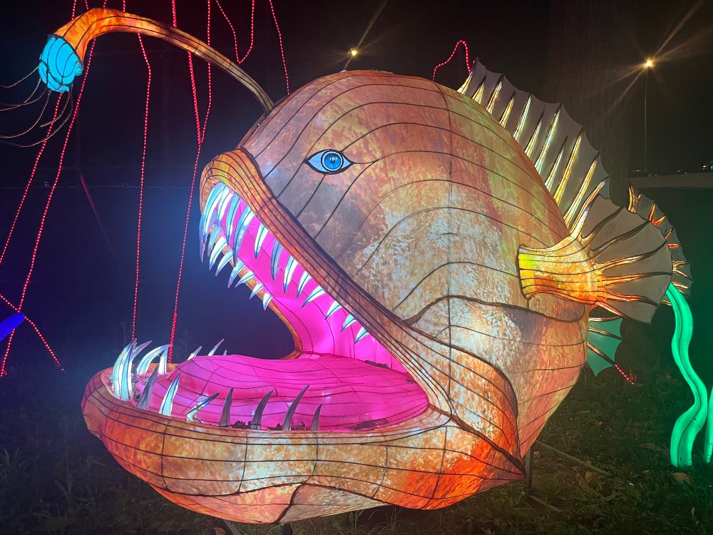 Anglerfish shaped lantern