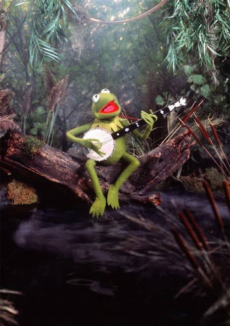 Kermit playing the banjo