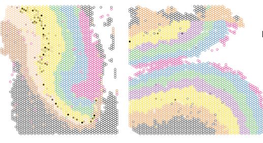 Spot plots from spatial transcriptomics data highlighting enrichment (black dot in the yellow) of a molecular signature in the dorsal anterior cingulate (left) versus the dorsolateral prefrontal cortex (right) of human brain tissue