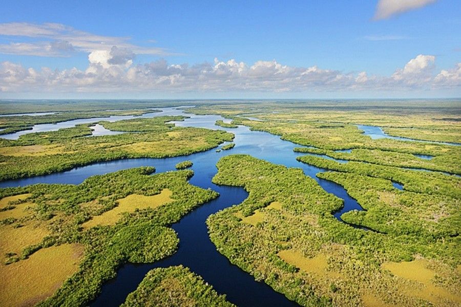 Everglades Aerial