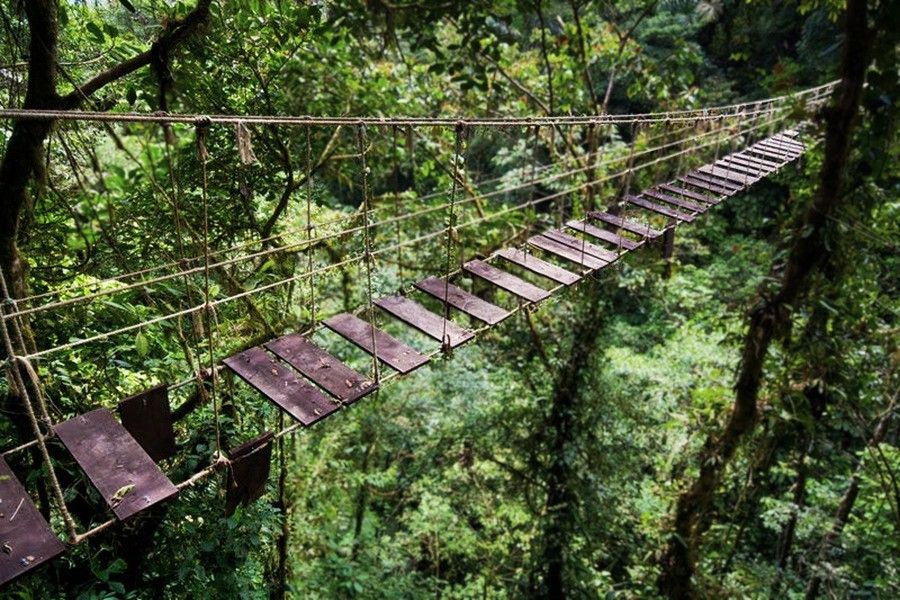 Wood and rope suspension bridge