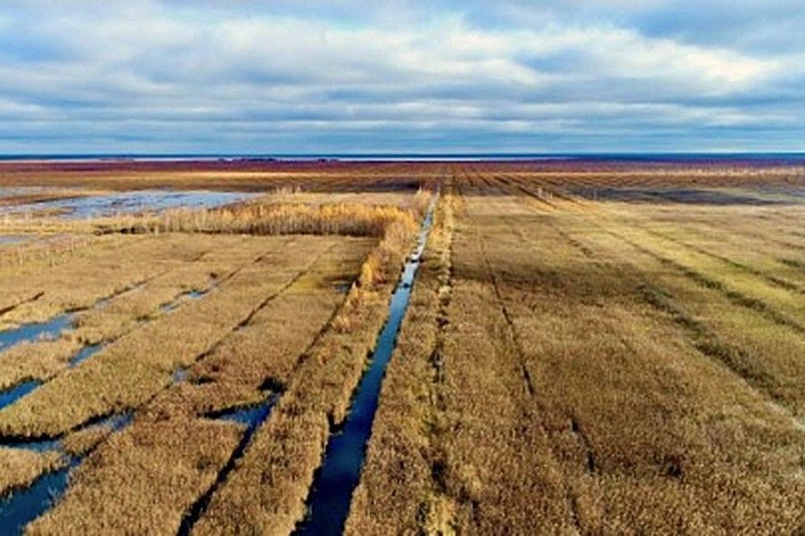 Wetland loss