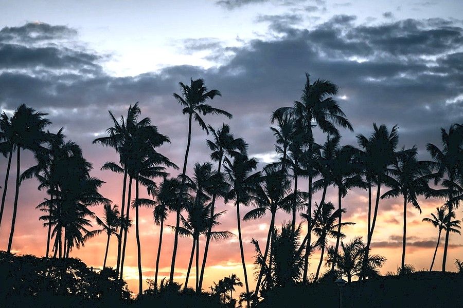 Hawaiian Sunset