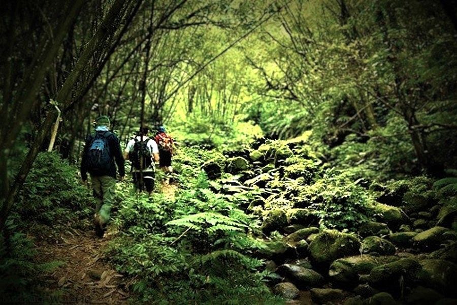Wet Tribe, band on the run, a road less traveled.