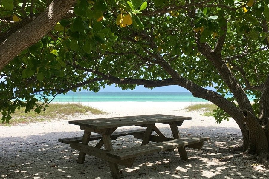 Under the sea grape tree