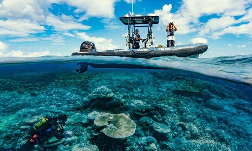 Coral research diver beneath zodiac boat