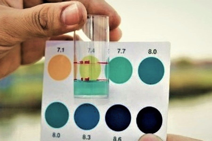 pH testing seawater sample
