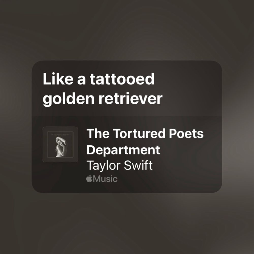 lyrics from "the tortured poets department" by taylor swift

like a tattooed golden retriever