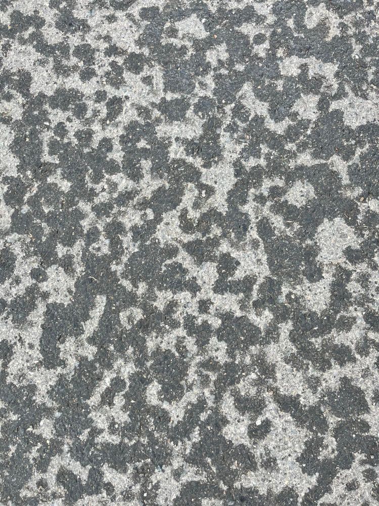 Marks of rain drops on asphalt, about half is dry and half wet in an interesting pattern.