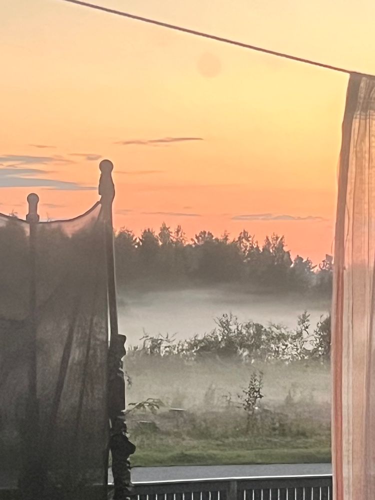 Picture from a terrace showing a misty meadow and orange sky in the evening light