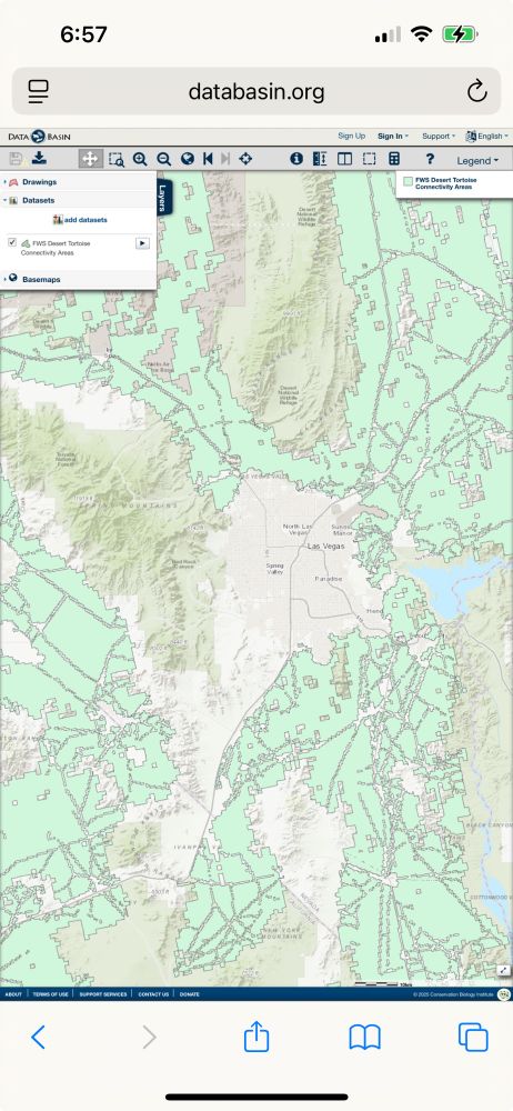 USFWS Desert tortoise connectivity areas deemed necessary for the long term survival of the species.